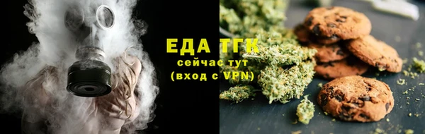 прущие грибы Абаза
