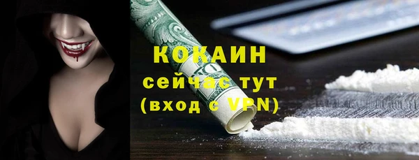 дурь Няндома