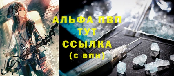 прущие грибы Абаза