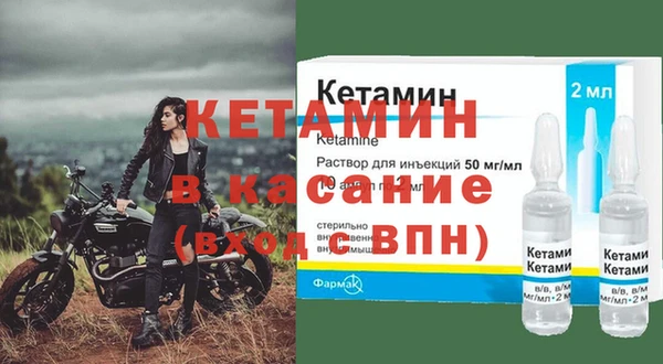 прущие грибы Абаза