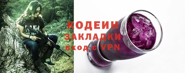 прущие грибы Абаза