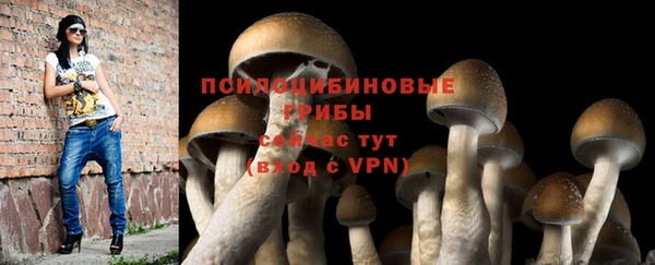 прущие крисы Абинск