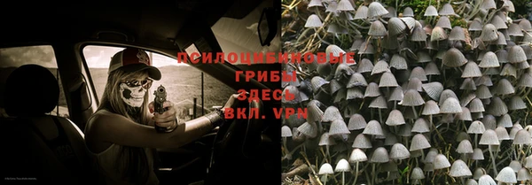 герыч Алзамай